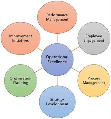 Achieving Operational Excellence Through Artificial Intelligence: Driving Forces and Barriers